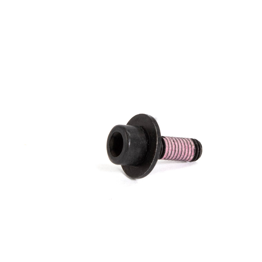 Metric Screw (M6 x 1)