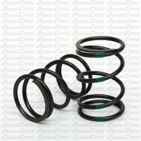 Improved 10.8lb "Green Stripe" Valve Spring, Preset, Clone