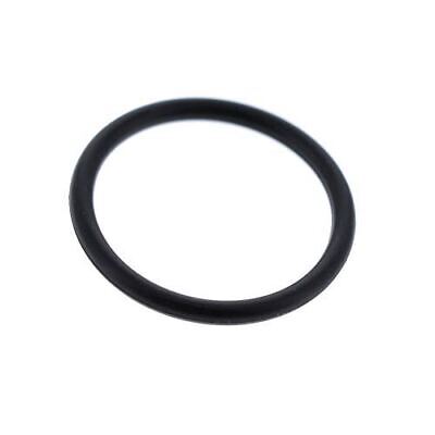 Carburetor O-Ring Seal, Animal, LO206