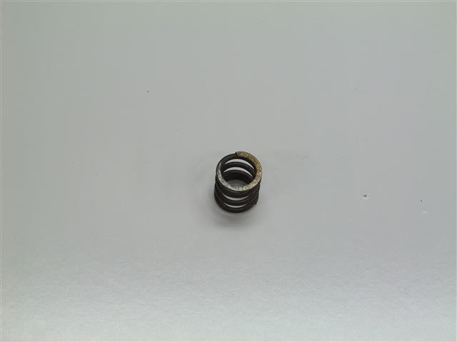 Valve, Springs Animal Briggs LO206 OEM ASN legal
