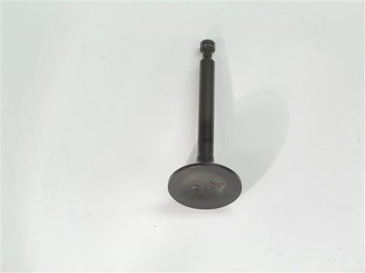 Valve, Exhaust BSP OEM