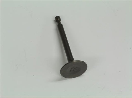 Valve, Intake BSP OEM