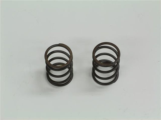 Valve Springs,10.8 lbs BSP pair OEM