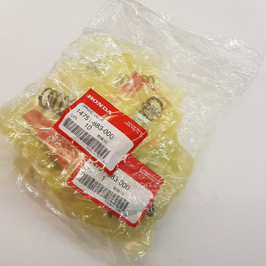 GX160 - GX200 Spring Valve 18 lb Bag of 10