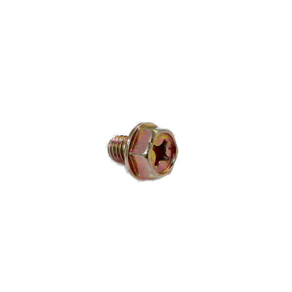 Carburetor, Bowl Drain Screw