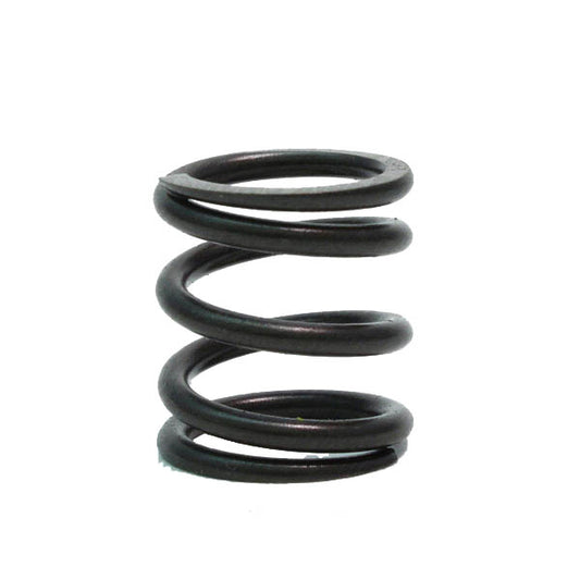 Valve Spring 20lb, Heavy Duty, Animal