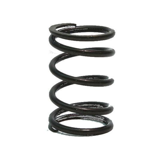 Spring, Valve Spring, Dyno Cams 22 LB Clone