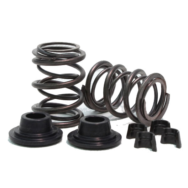 Valve Spring Kit Animal 32lb Dual w-retainers and locks