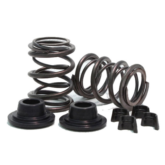 Valve Springs, 38lb Dual Valve Spring Set with Hardware, Animal
