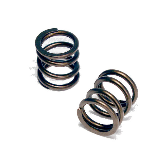 Valve Springs, Comp Cams OHV Spring Set, Animal