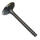 #09: P/N ETT0701: Tillotson T212RS/T225RS Intake Valve