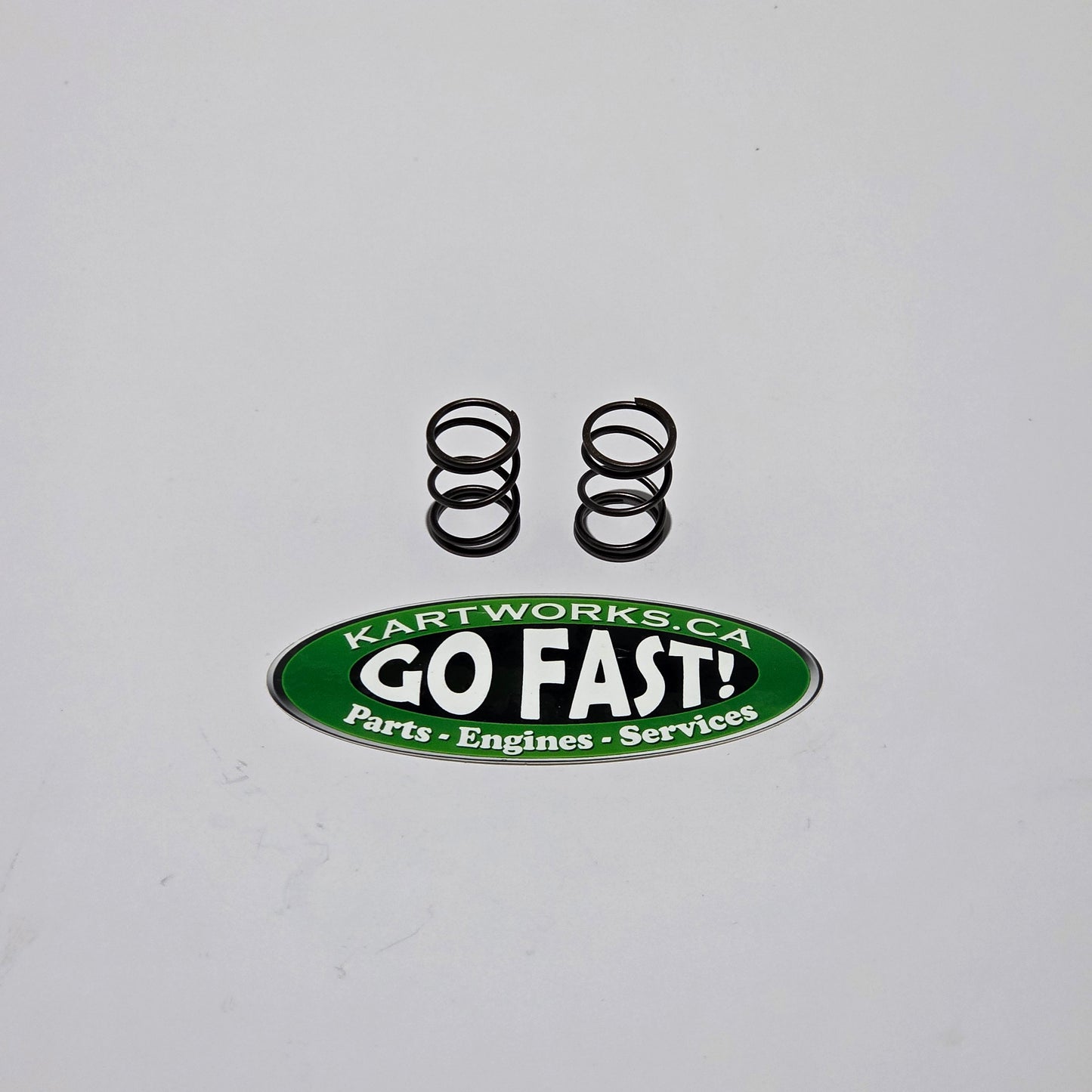 Premium 10.8 lb Set/Pair Valve Spring, Clone