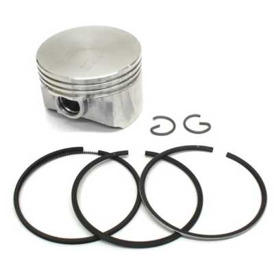 Piston, Assembly - Std. Animal LO206